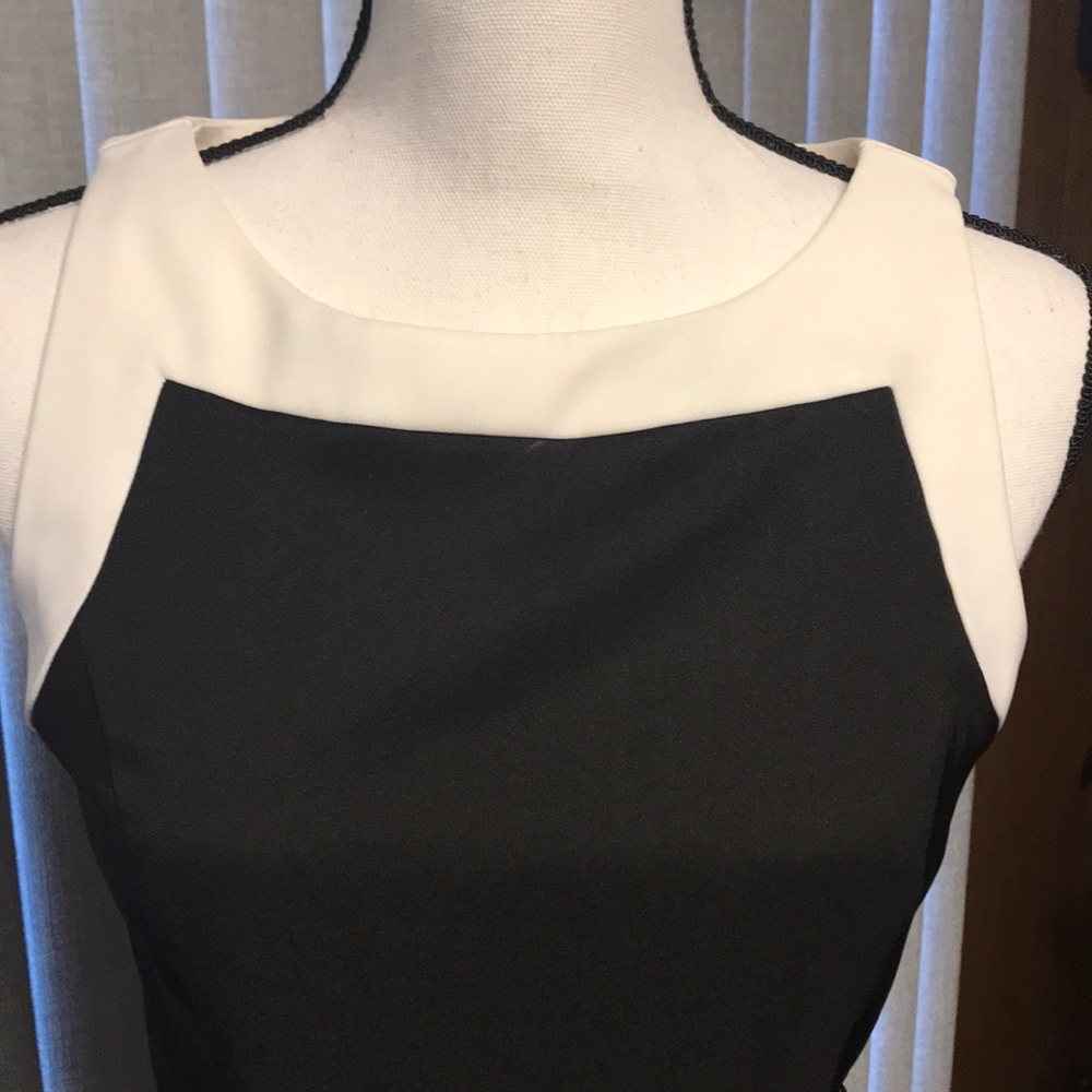 NWT WHBM Belted Black & White Dress Size 2 - Picture 3 of 8